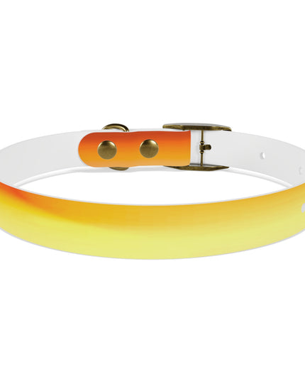Phoenix Fade Small Dog Collar
