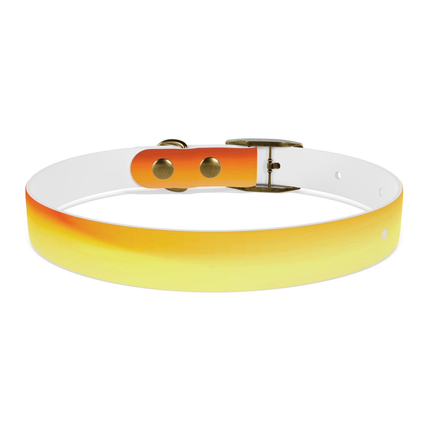 Phoenix Fade Small Dog Collar