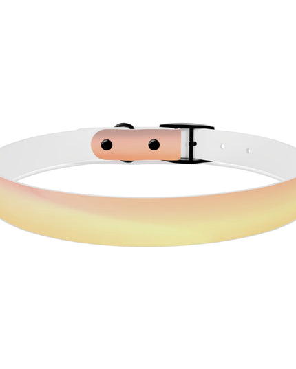 Hot Peach Fade Extra Large Dog Collar