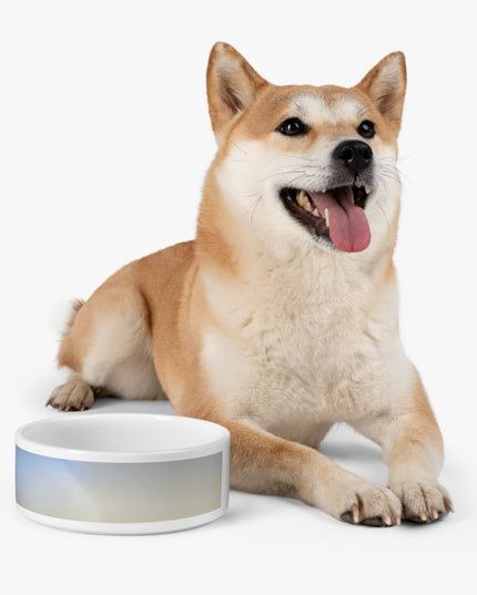 Cobalt Fade 16 oz Pet Bowl