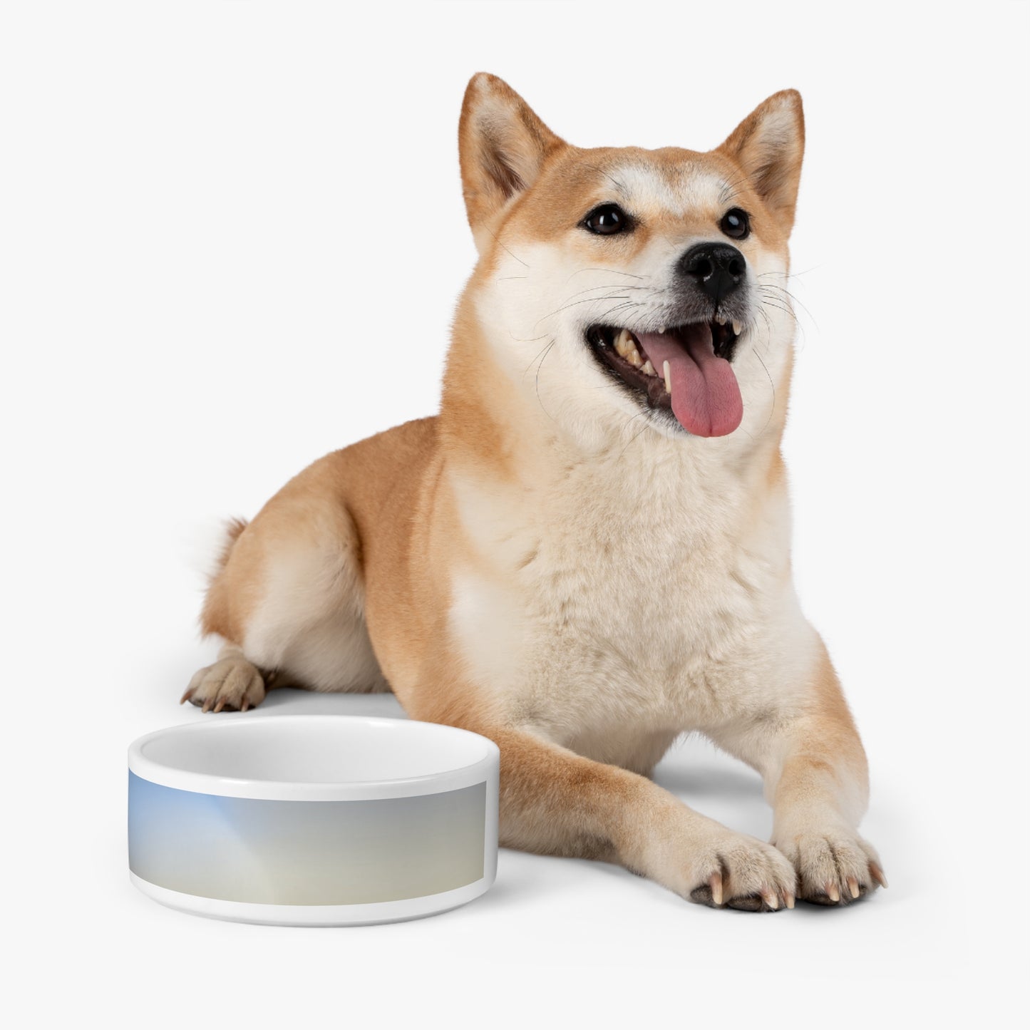 Cobalt Fade 16 oz Pet Bowl