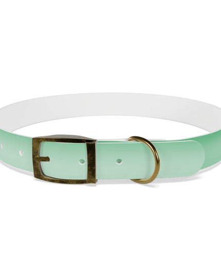 Mint Fade Extra Large Dog Collar