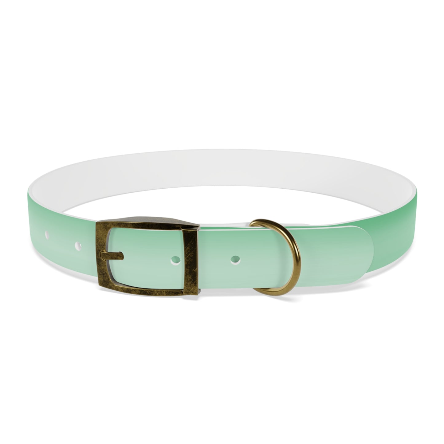 Mint Fade Extra Large Dog Collar