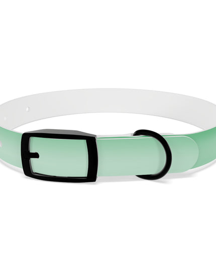 Mint Fade Small Dog Collar