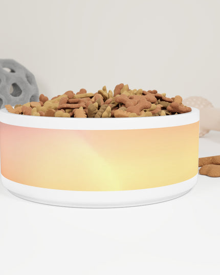 Hot Peach Fade 16 oz Pet Bowl