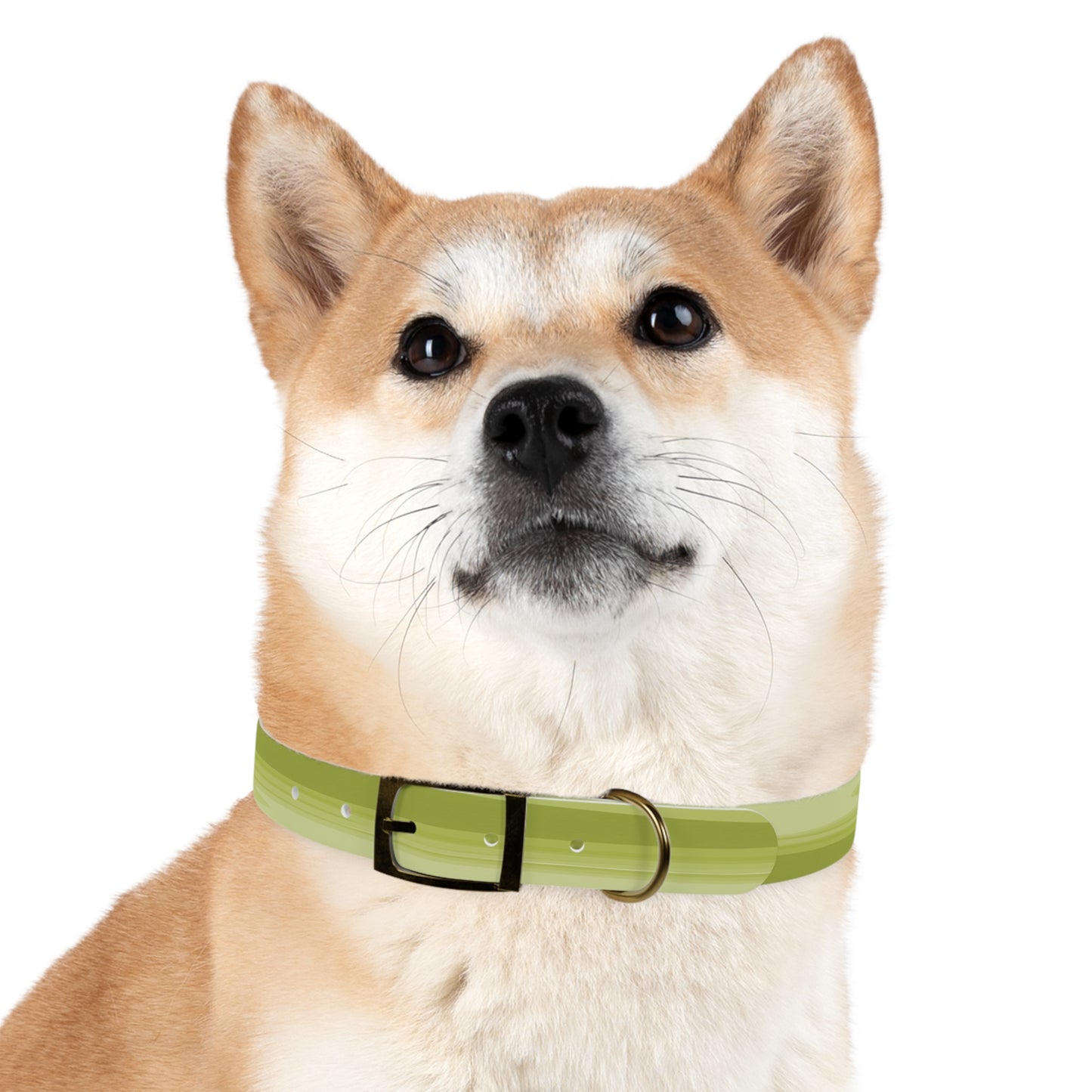 Lemon Wavey Extra Large Dog Collar