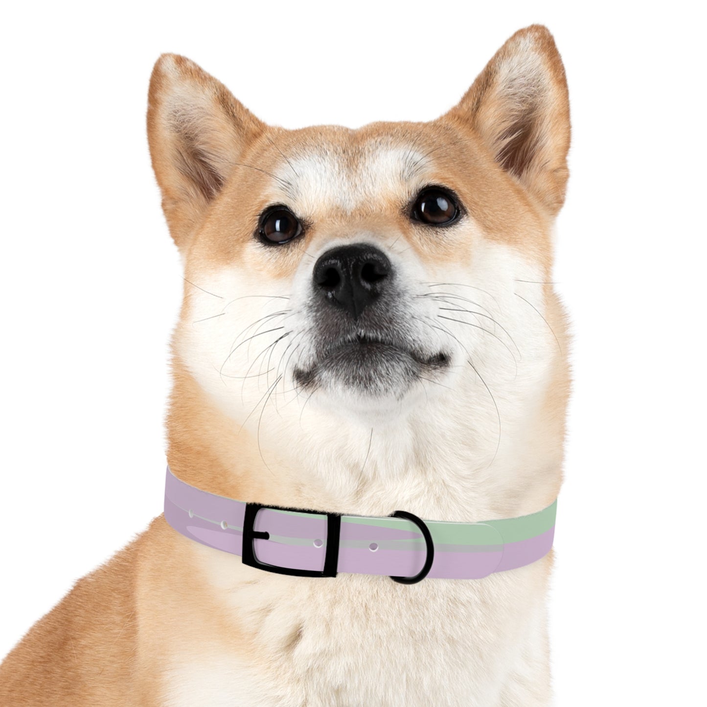 Pastel Lavender Purple and Soft Green Patches Large Dog Collar
