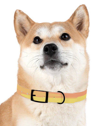 Pastel Bright Oranges Patches Large Dog Collar