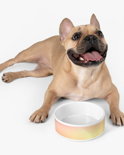 Hot Peach Fade 16 oz Pet Bowl