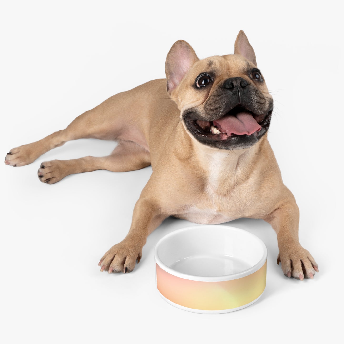 Hot Peach Fade 16 oz Pet Bowl