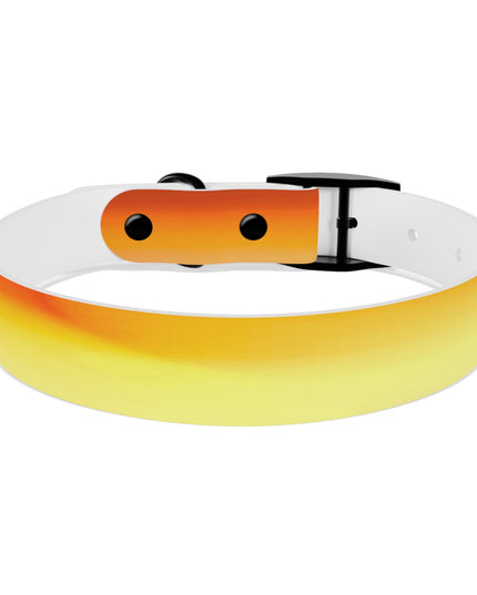 Phoenix Fade Medium Dog Collar