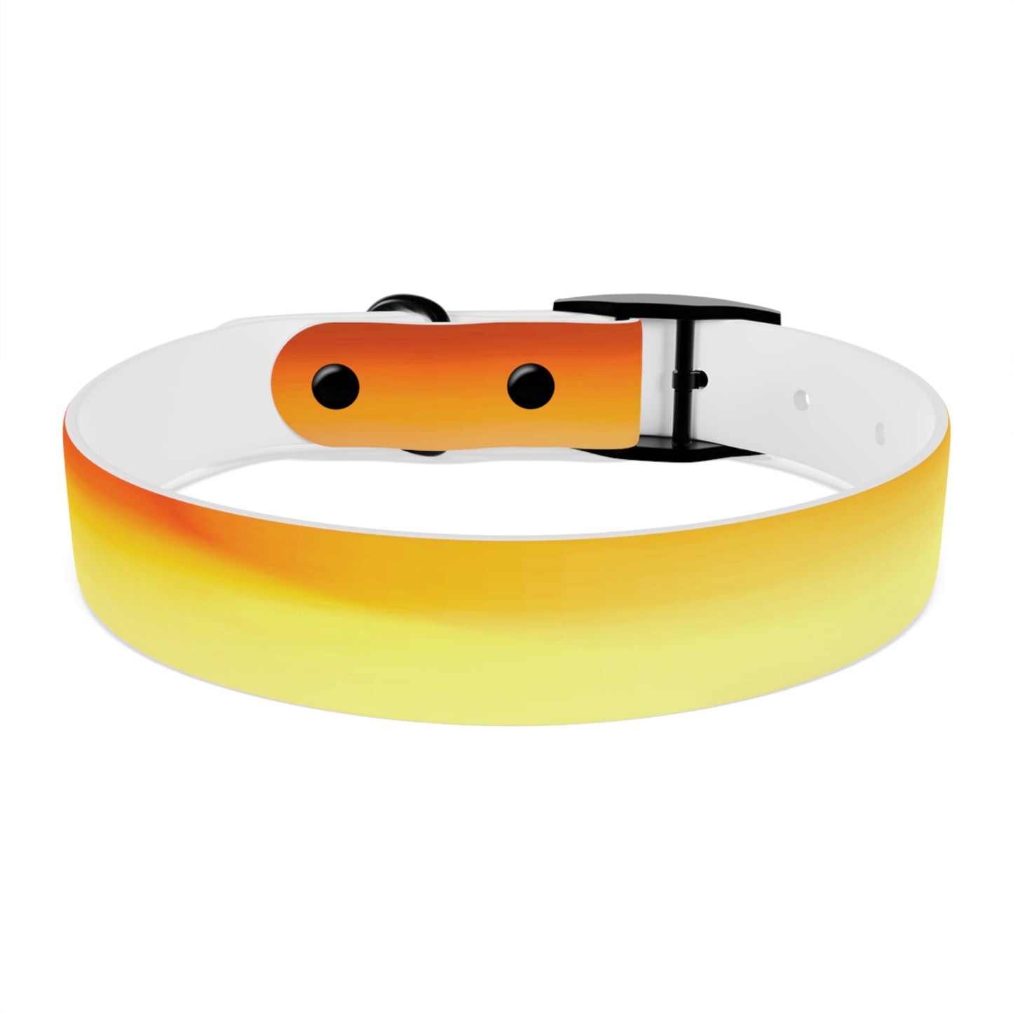 Phoenix Fade Medium Dog Collar