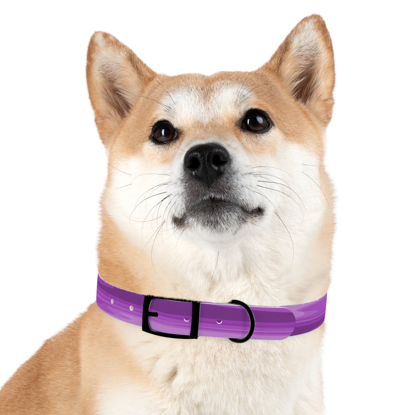 Wavey Purple Wavey Medium Dog Collar