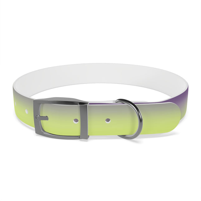 Purple Golden Fade Large Dog Collar