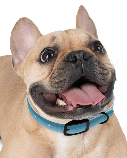 Sky Blue Wavey Small Dog Collar