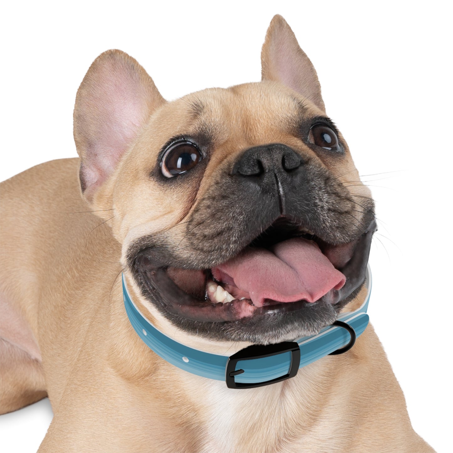 Sky Blue Wavey Small Dog Collar