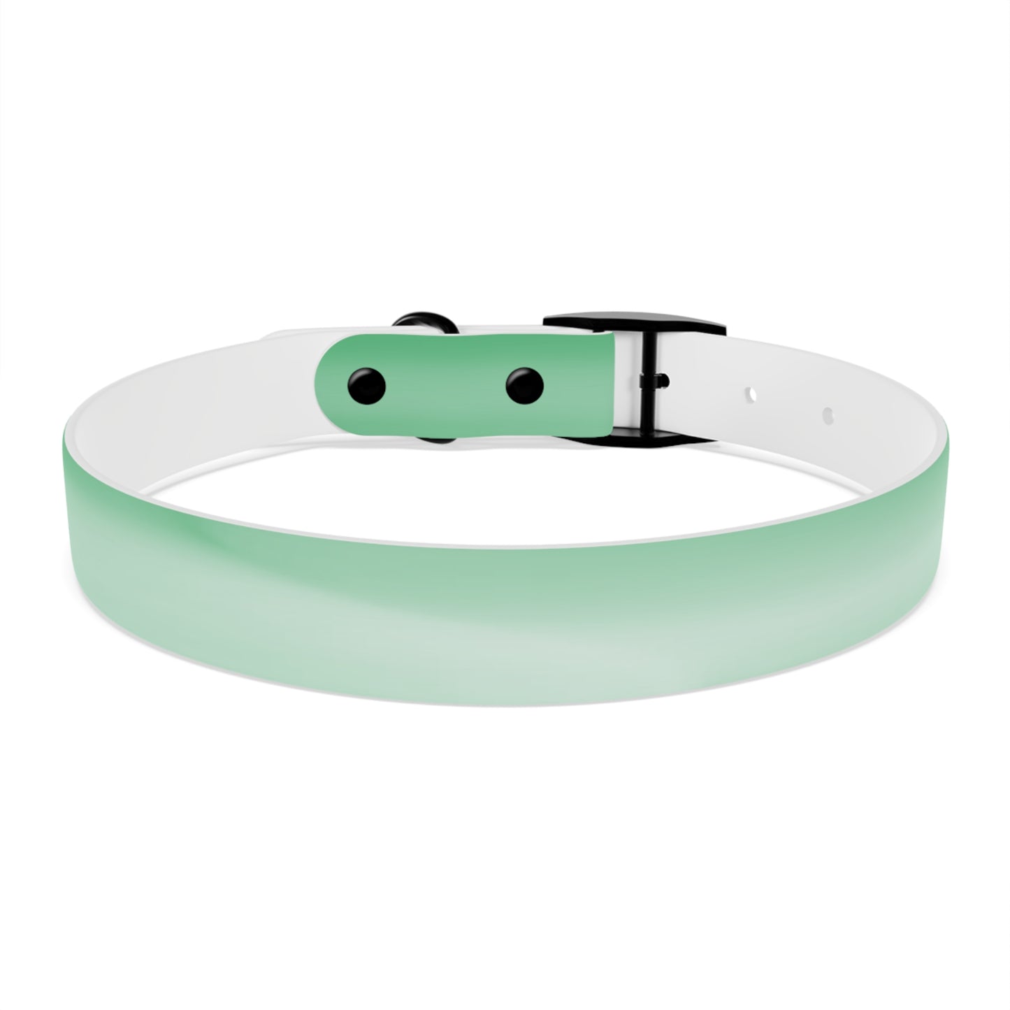 Mint Fade Large Dog Collar