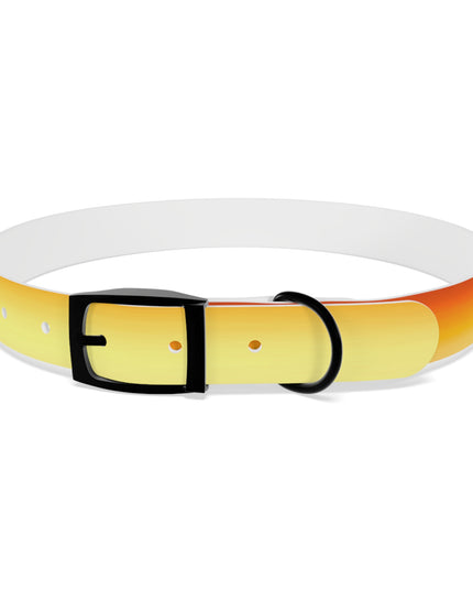 Phoenix Fade Extra Large Dog Collar
