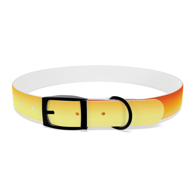 Phoenix Fade Extra Large Dog Collar