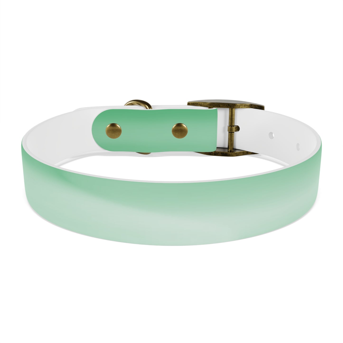 Mint Fade Medium Dog Collar