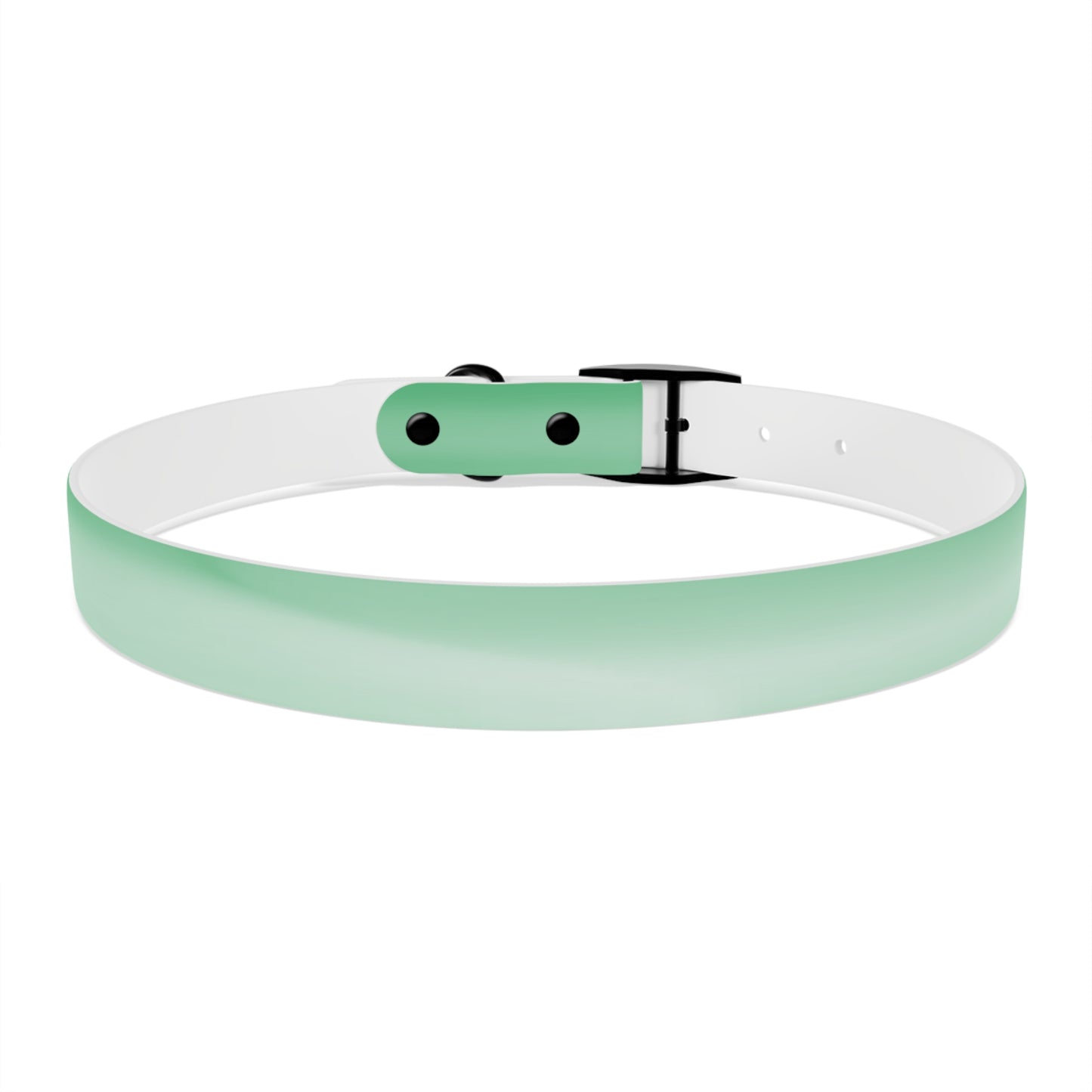 Mint Fade Extra Large Dog Collar