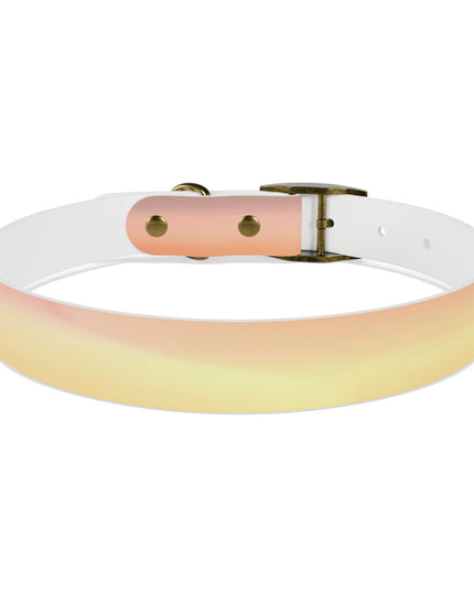Hot Peach Fade Large Dog Collar