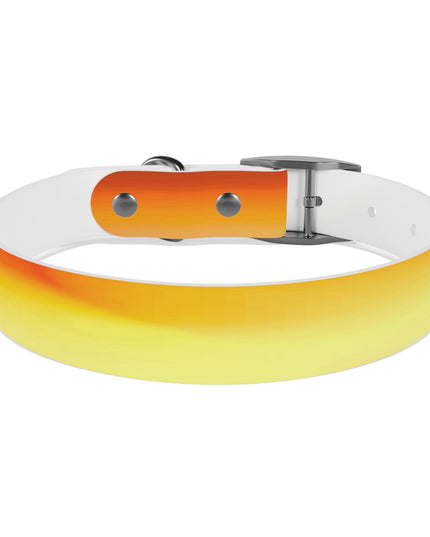 Phoenix Fade Medium Dog Collar