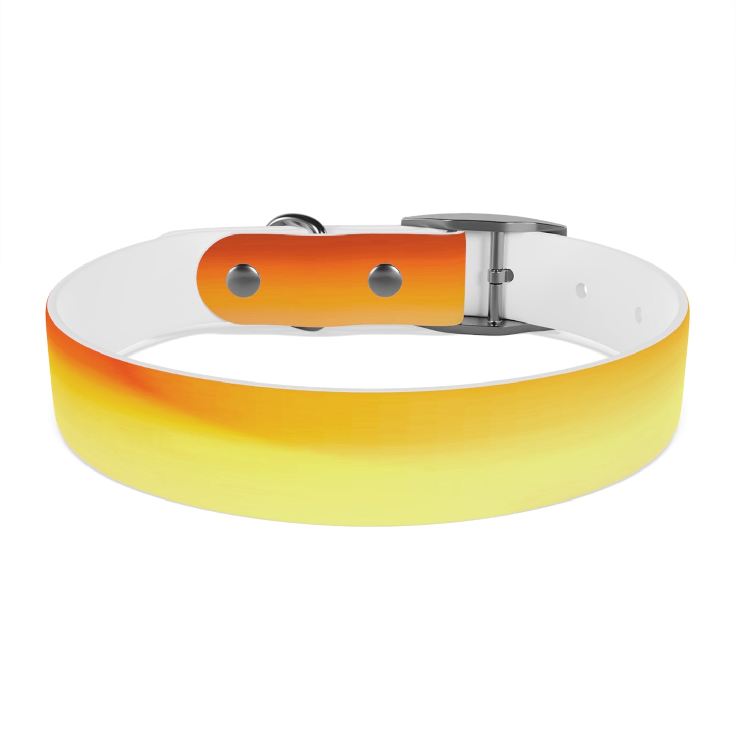 Phoenix Fade Medium Dog Collar
