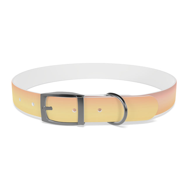 Hot Peach Fade Extra Large Dog Collar