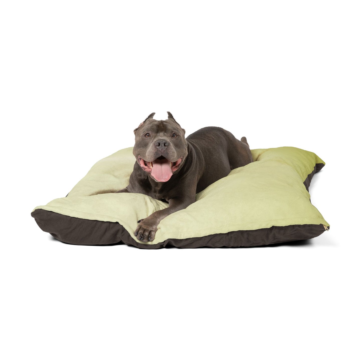 Lemon Fade 50" × 40" Pet Bed