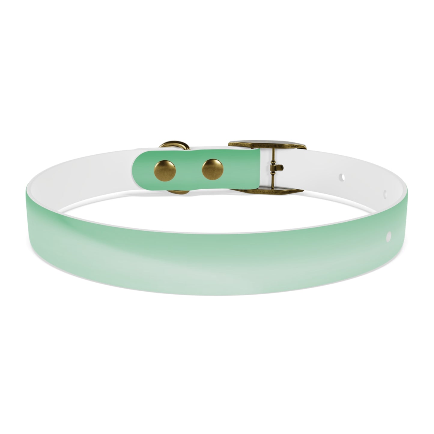 Mint Fade Small Dog Collar