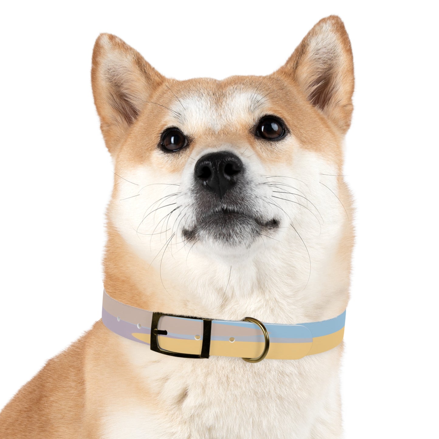 Pastel Baby Blue and Peach Patches Medium Dog Collar
