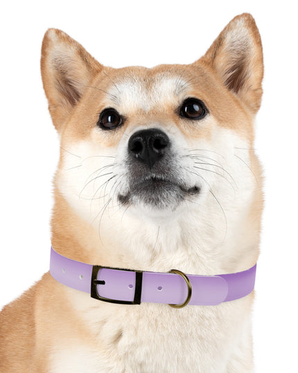 Soft Lavender Fade Extra Large Dog Collar