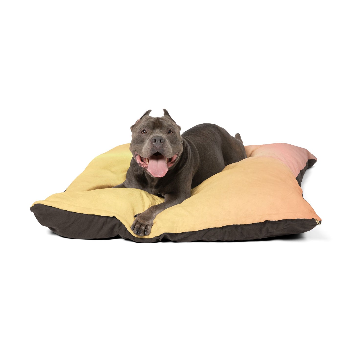 Hot Peach Fade 50" × 40" Pet Bed