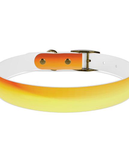 Phoenix Fade Large Dog Collar