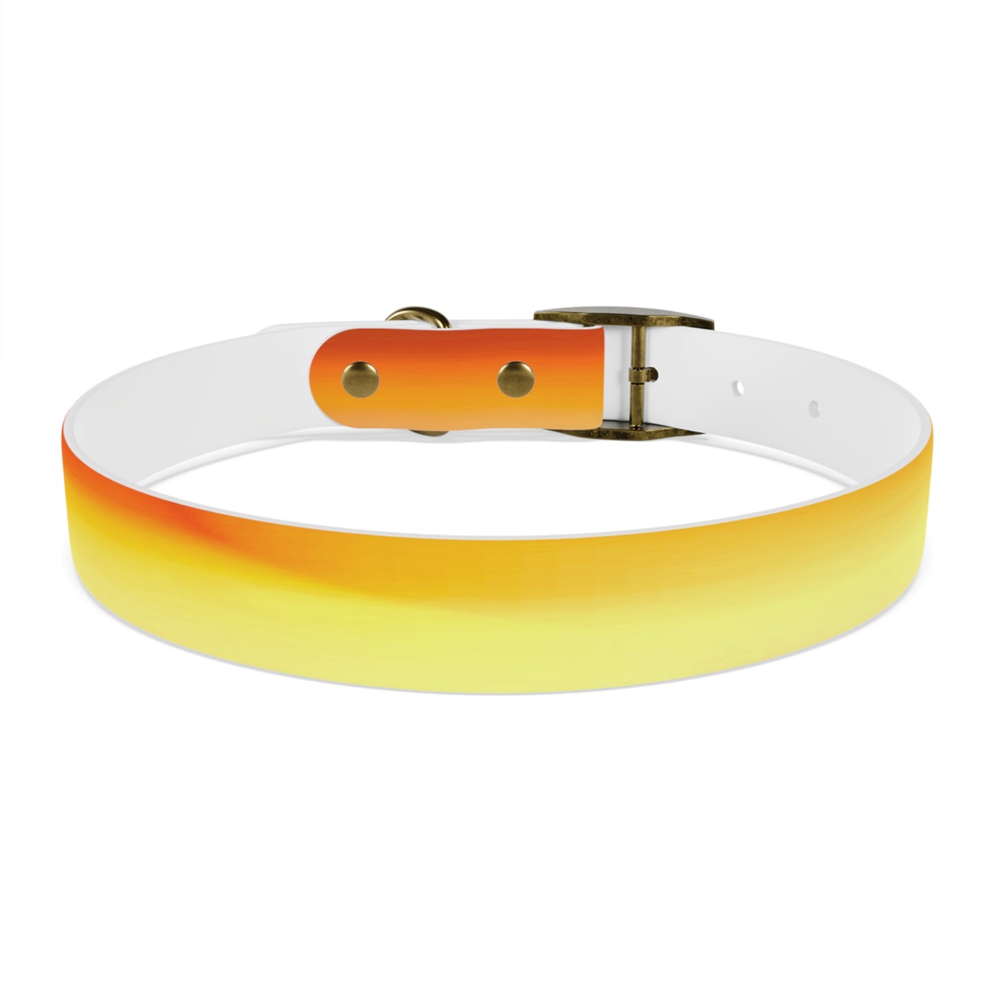 Phoenix Fade Large Dog Collar