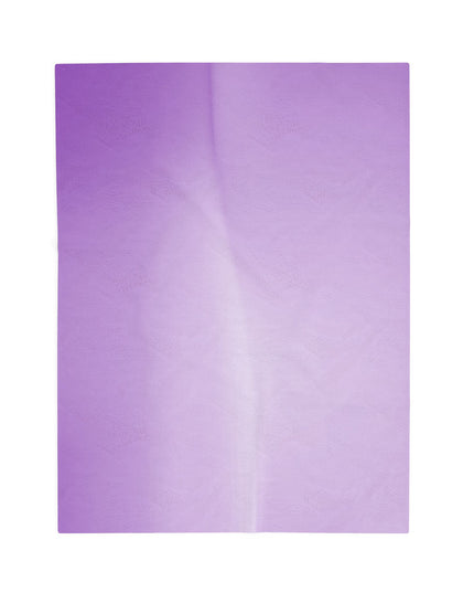 Soft Lavender Fade Velveteen Plush Blanket, 30" x 40"