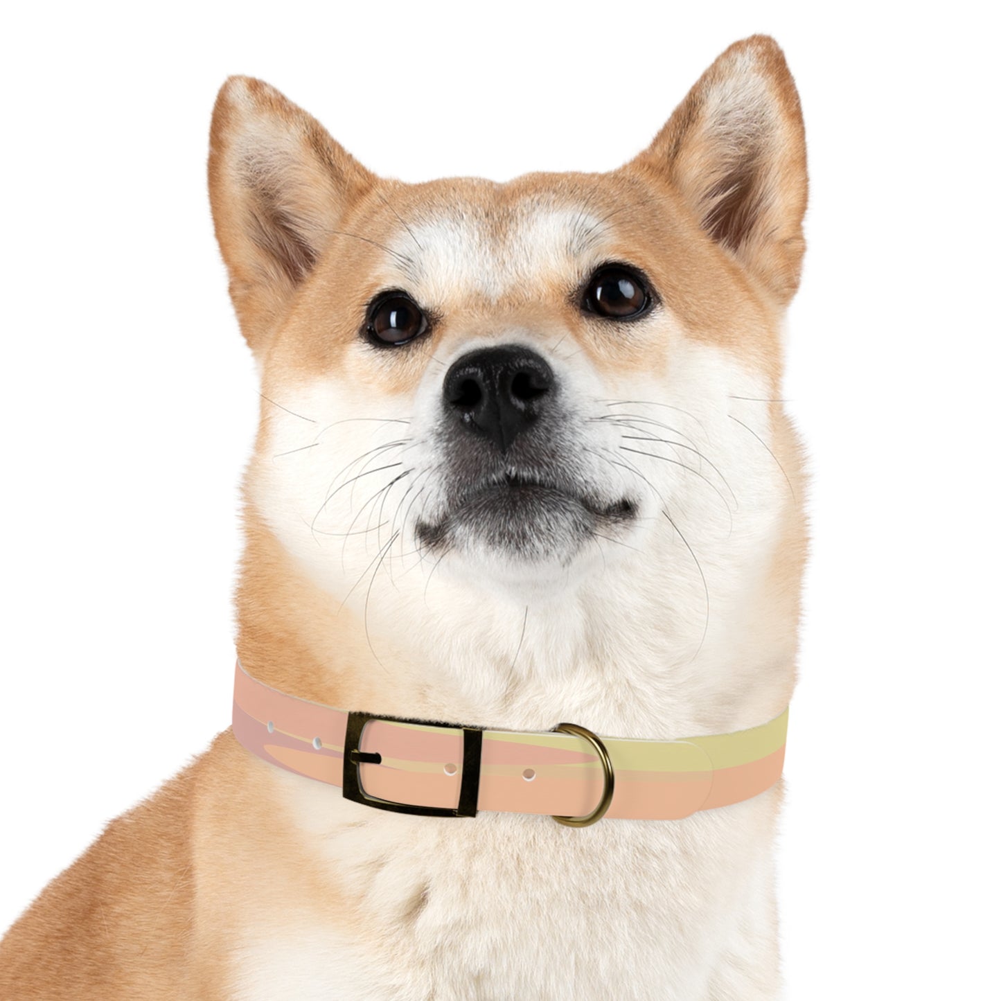 Pastel Hot Peach Patches Large Dog Collar