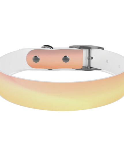 Hot Peach Fade Medium Dog Collar