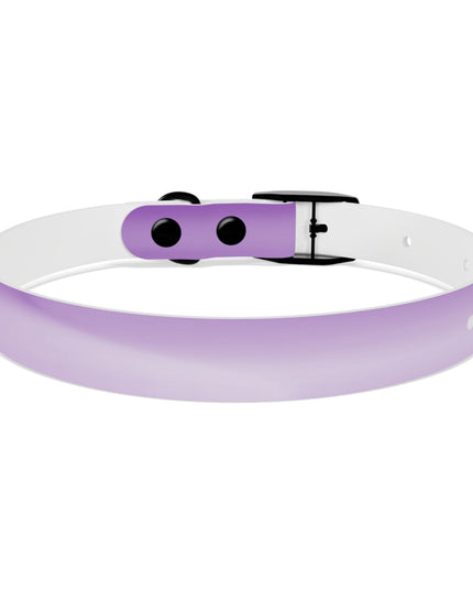 Soft Lavender Fade Small Dog Collar