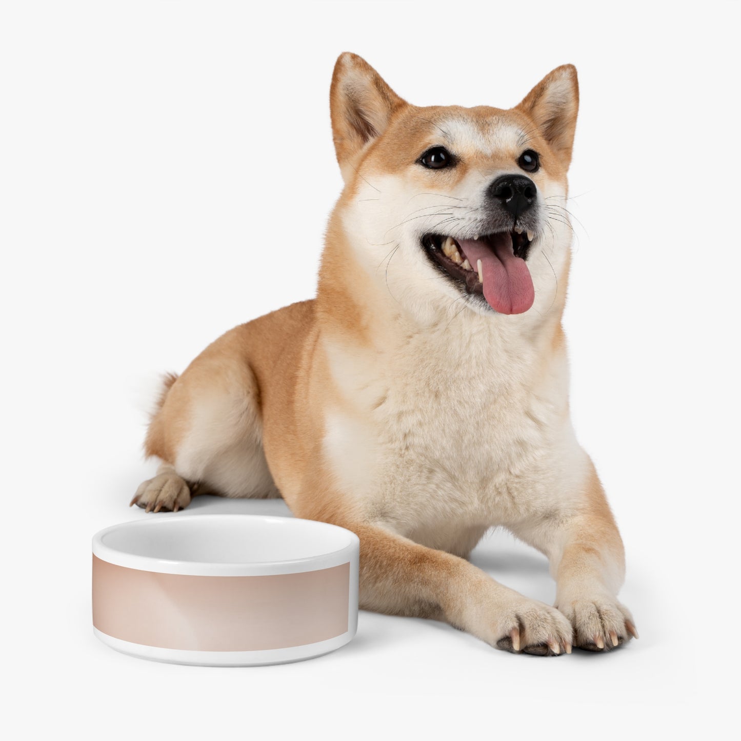Soft Fade 16 oz Pet Bowl