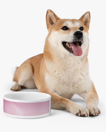 Pink Blush Fade 16 oz Pet Bowl