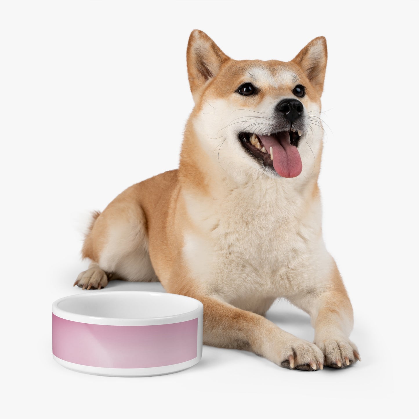 Pink Blush Fade 16 oz Pet Bowl