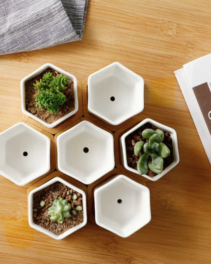 Succulent Small Planter Set of 3