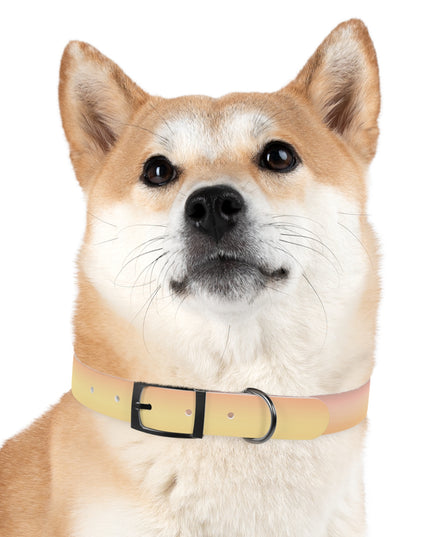 Hot Peach Fade Extra Large Dog Collar