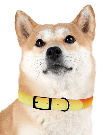Phoenix Fade Extra Large Dog Collar