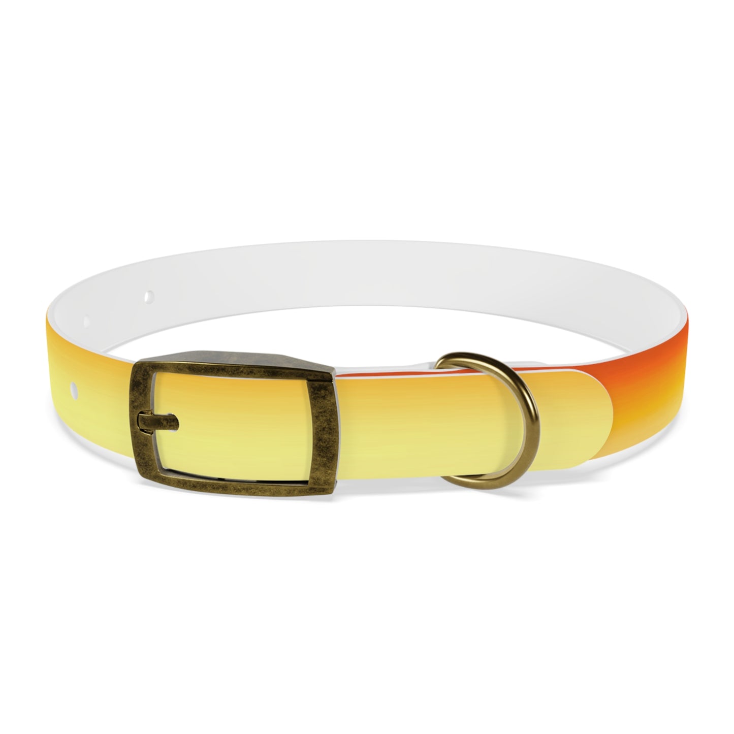 Phoenix Fade Small Dog Collar