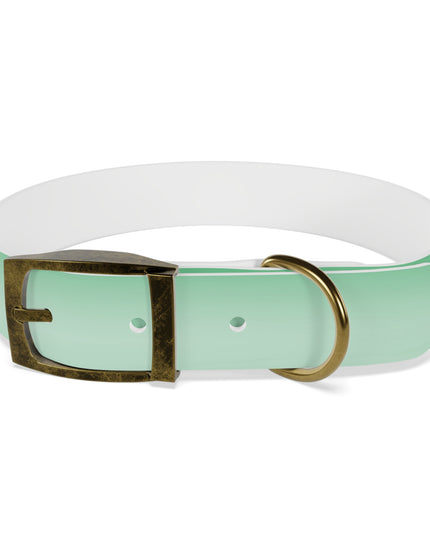 Mint Fade Medium Dog Collar