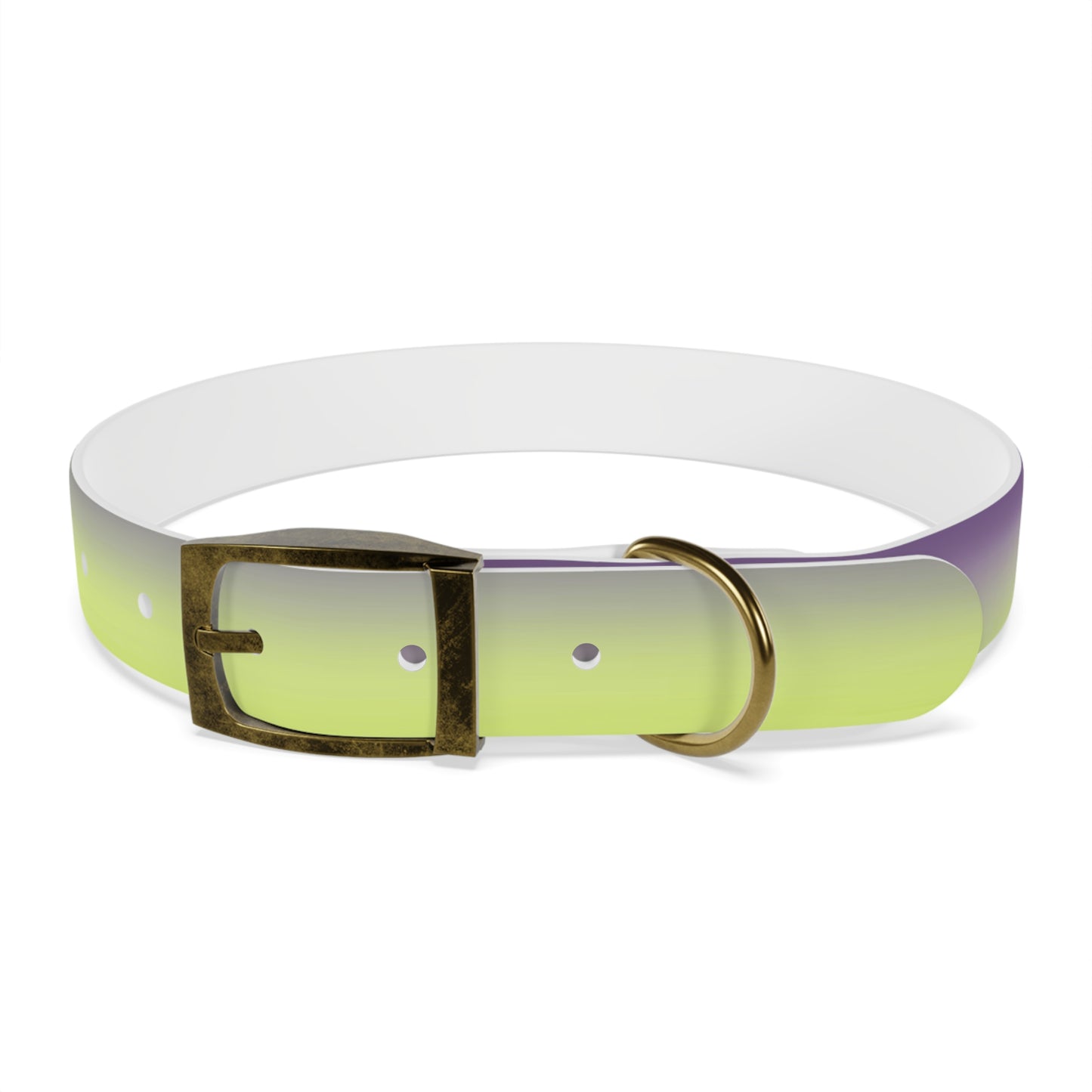 Purple Golden Fade Large Dog Collar