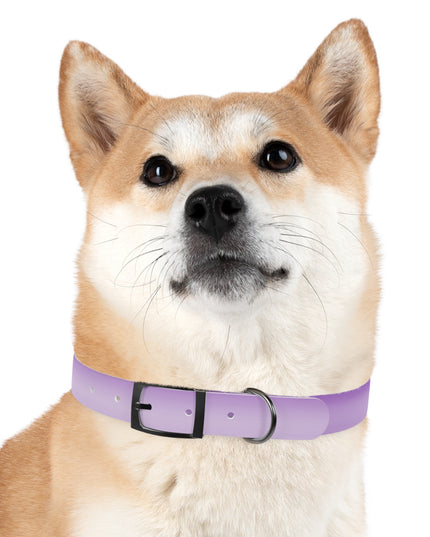 Soft Lavender Fade Extra Large Dog Collar